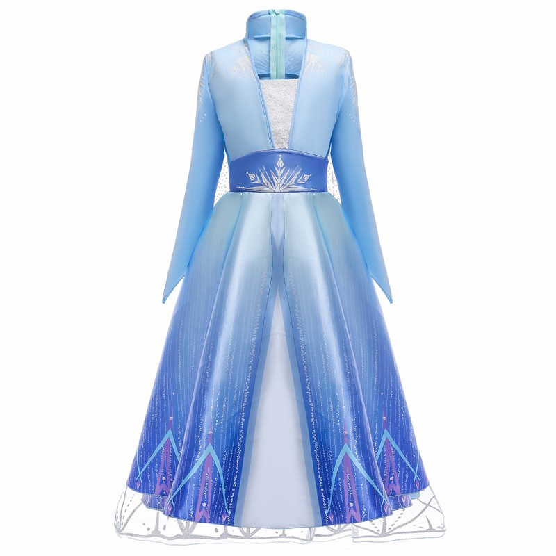 Frozen birthday party on sale dress