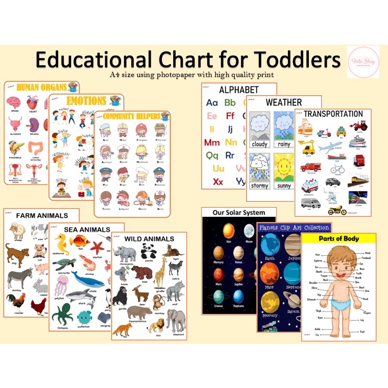 A4 LAMINATED EDUCATIONAL Wall Chart for Kids ALPHABET ABC CHART