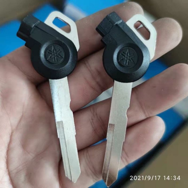 JANUS car key blank (combo of 2 keys) | Shopee Singapore