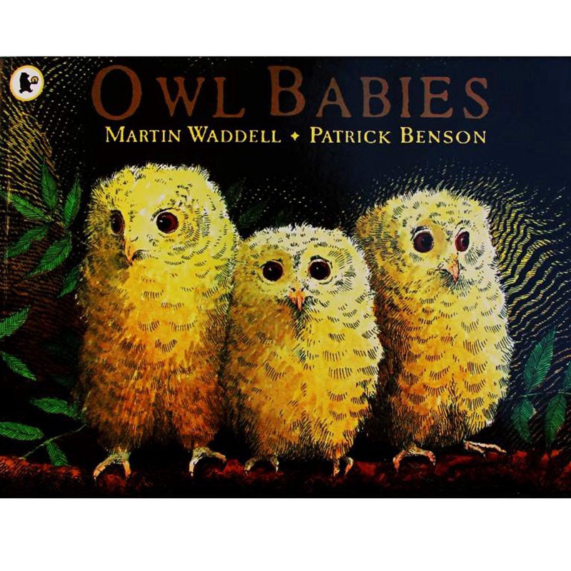 Owl hot sale babies powerpoint