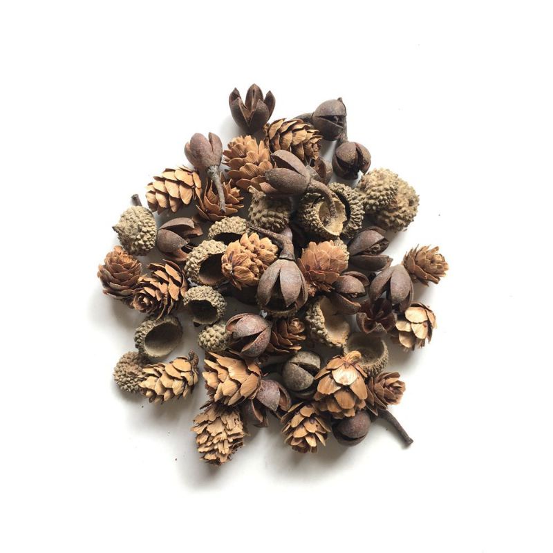 *READY STOCK* Zakka Natural Rustic - Dried Fruit Pinecone Acorn Christmas Decoration Candle Halloween Pumpkin Photoshoot