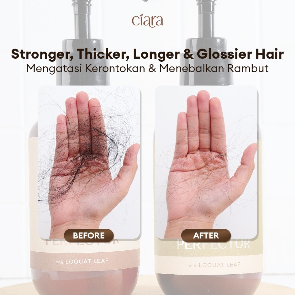 Ciara Hair Wash X Conditioner Perfector With Loquat Leaf Kondisioner rambut rusak conditioner rambut bercabang rambut paatah conditioner rambut rusak rambut ketombe conditioner hair fall shampo rambut kering hair wash sampo rambut rusak sampo ketombe - Gambar 4