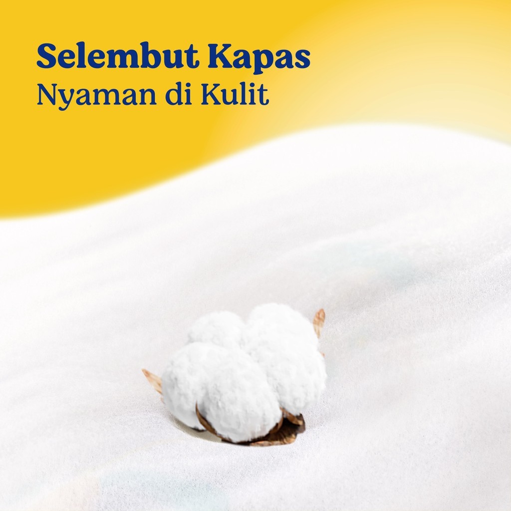 Sweety Bronze Dry X-pert Comfort NB-S 44 x 4 - Gambar 4