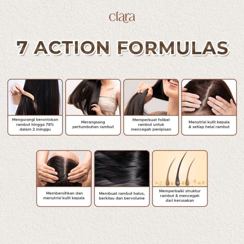 Ciara Hair Wash X Conditioner Perfector With Loquat Leaf X Hair Perfector Protein Cream rambut rusak conditioner rambutt bercabang rambut patah conditioner rambut rusak rambut ketombe conditioner hair fall shampo rambut kering hair wash sampo - Gambar 2