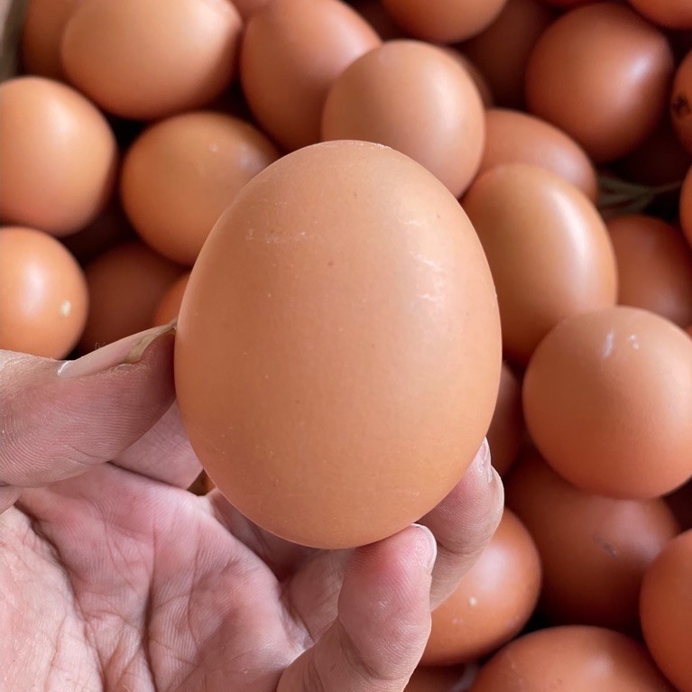 (KIRIM LANGSUNG) Telur Ayam Murah 1.5kg Segar Fresh Purwokerto - Gambar 2