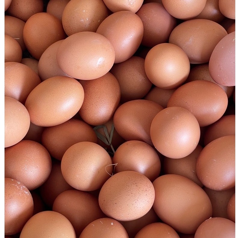 (KIRIM LANGSUNG) Telur Ayam Murah 1.5kg Segar Fresh Purwokerto - Gambar 3
