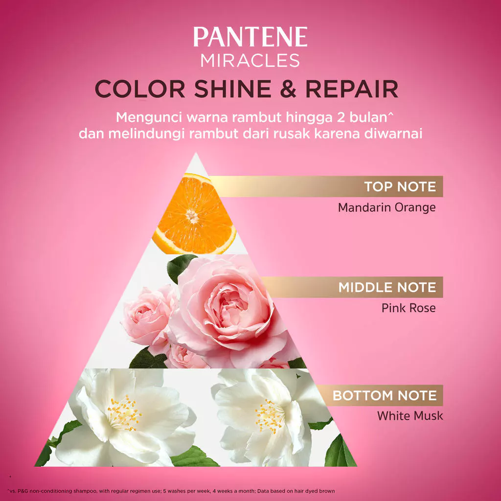 [BUNDLE] PANTENE MIRACLE Color Shine & Repair Shampoo 440ml + Conditioner 440ml/ Pantene Japan Premium Edition untuk rambut rusak karena diwarnai atau coloring - Gambar 4