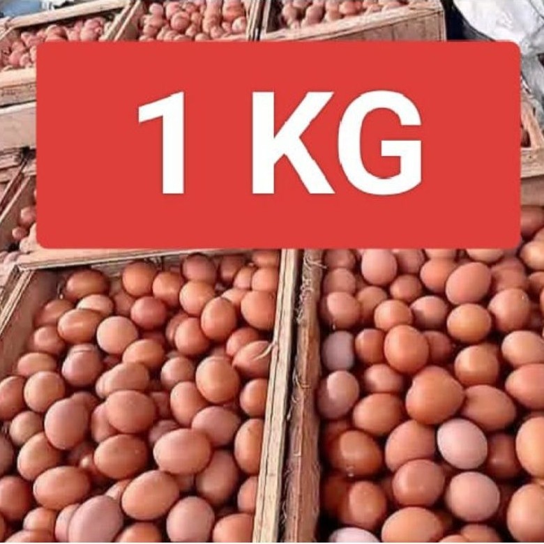 Telur Ayam 1 KG Kab. CILACAP