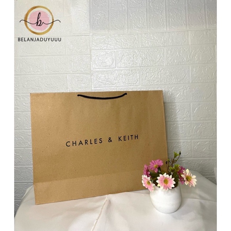 Paperbag Size Large Branded Shopping Bag can fit Large Bags and