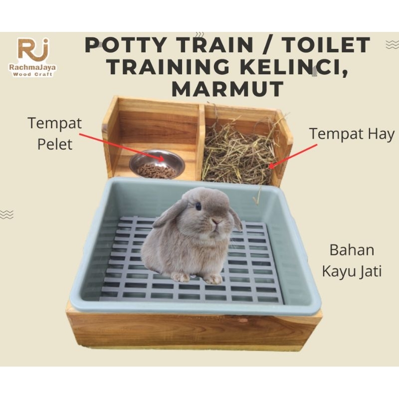 Toilet Training Rabbit Litterbox rabbit Potty Train Rabbit small size ...