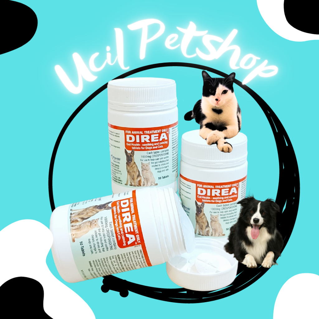 Direa Anti Diarrhea Medicine For Cats Dogs (1 Tablets) Shopee Singapore