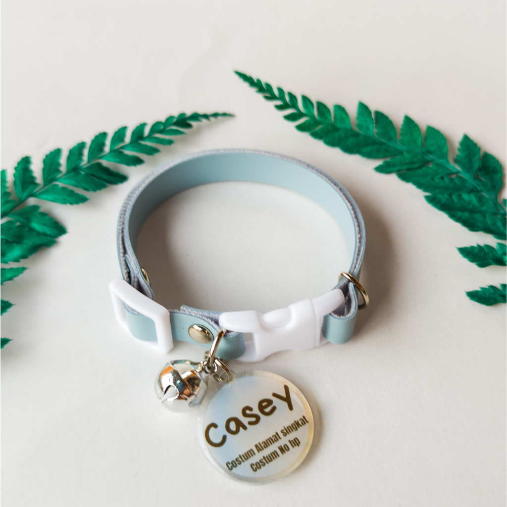 Kalung kucing Kulit Gratis Liontin Costum Nama