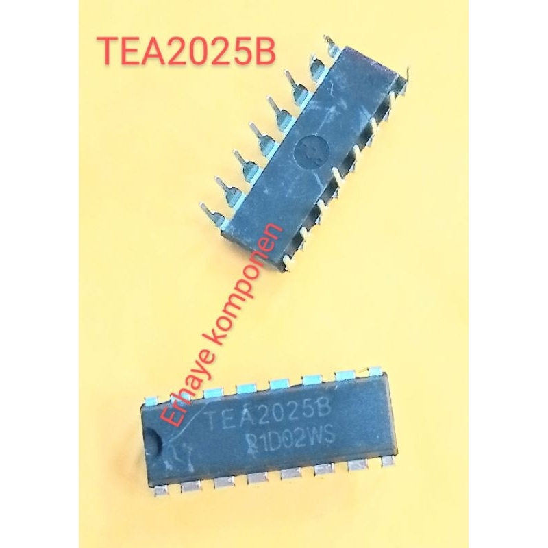 Tea2025 IC Stereo Audio Amplifier | Shopee Singapore