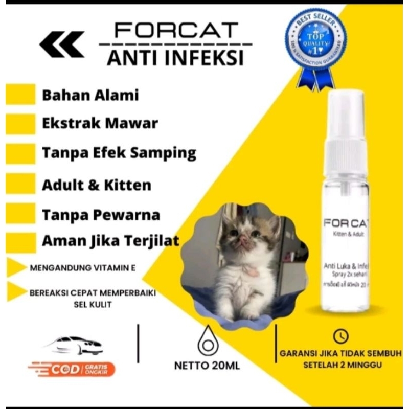Forcat Fungus Medicine For Cats And Cat Infections scabies Skin ...