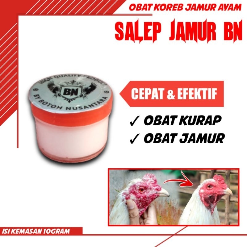 Korep BN Ointment, Effective Chicken Ringworm Ointment, Fungal