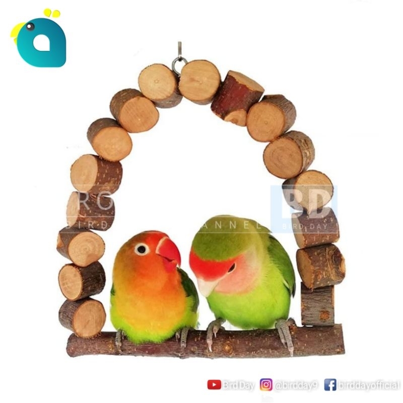 Toys Swing Parrot Lovebird Parakeet Parotlet Monk Cockatiel Etc Shopee Singapore