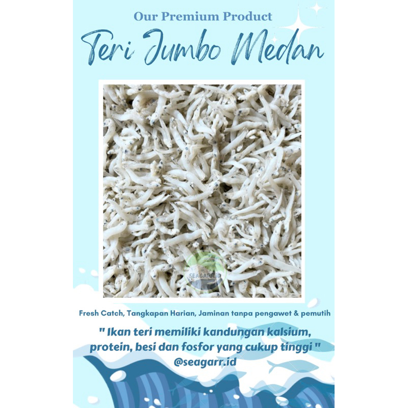 Seagarr Anchovy Jumbo Medan (500gr) Shopee Singapore