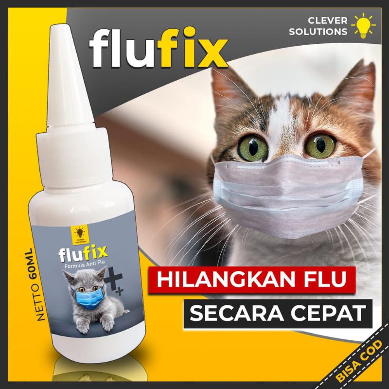 What is the medicine for hot sale cat cold