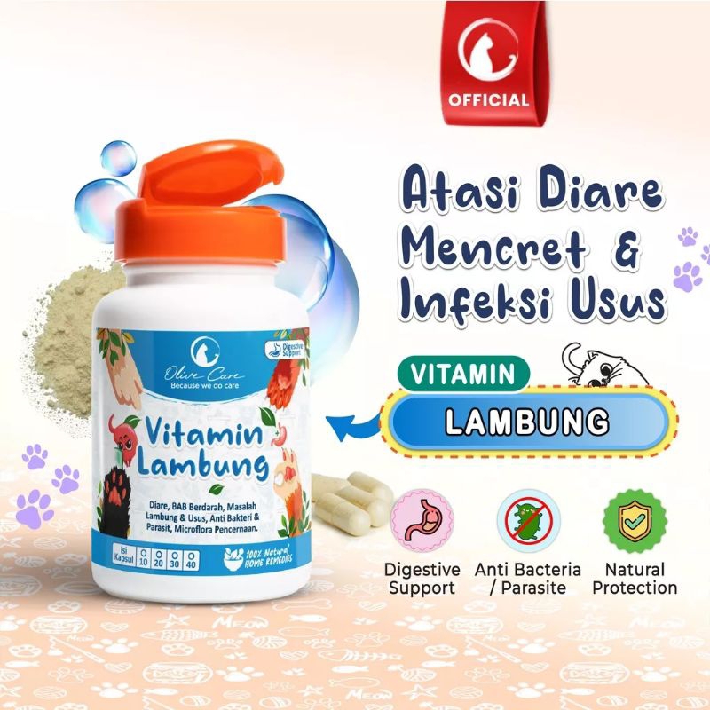 Olive Care Vitamin Cat Medicine For Stomach Diarrhea Acute Pup Bloody