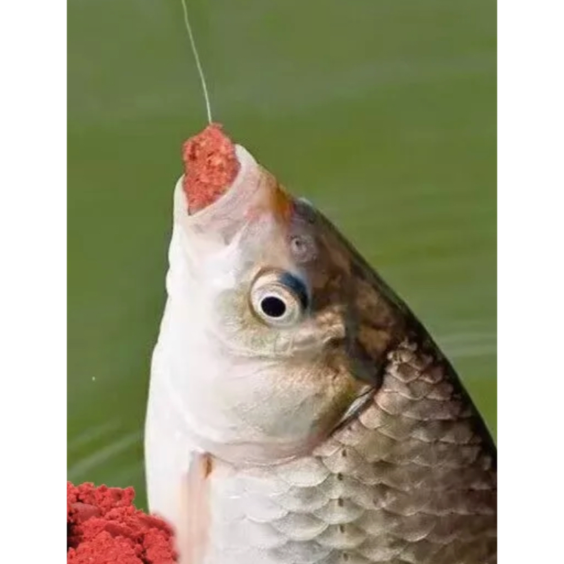 umpan pelet cacing bubuk umpan ikan mas Aroma wangi - Gambar 3
