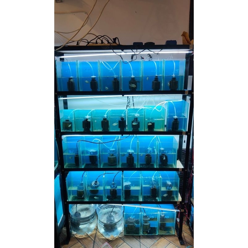 SIKU Aquarium Rack 30x150 4 Stacks (Elbow 4x4 2mm)/multipurpose Rack ...