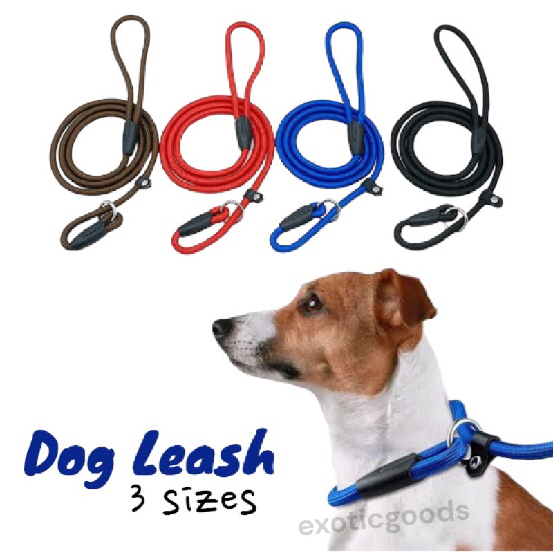 Cesar hotsell dog leash