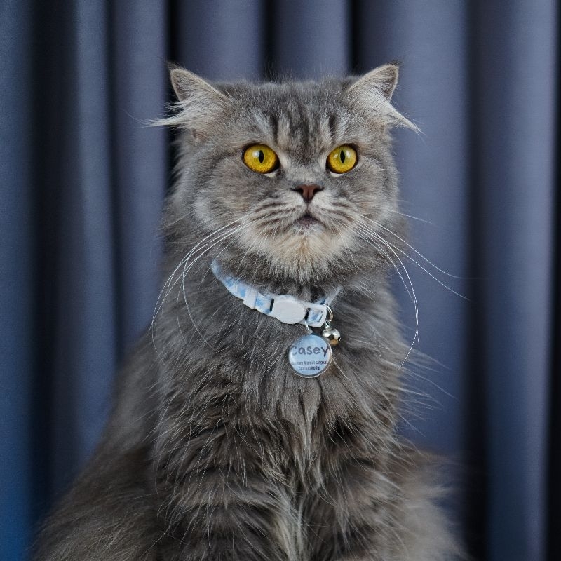 Kalung Kucing Free Liontin Custom Nama ( Waterproof )(Bahan katun) - Gambar 3