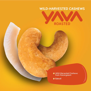 Wild HARVESTED CASHEWS YAVA ROASTED Cashew Snack Cashew MENTE Cashew ...