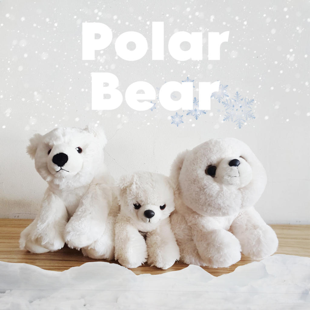 Eco NATION AURORA Doll Polar ANIMAL ICE POLE ANIMAL Polar Bear Penguin ...