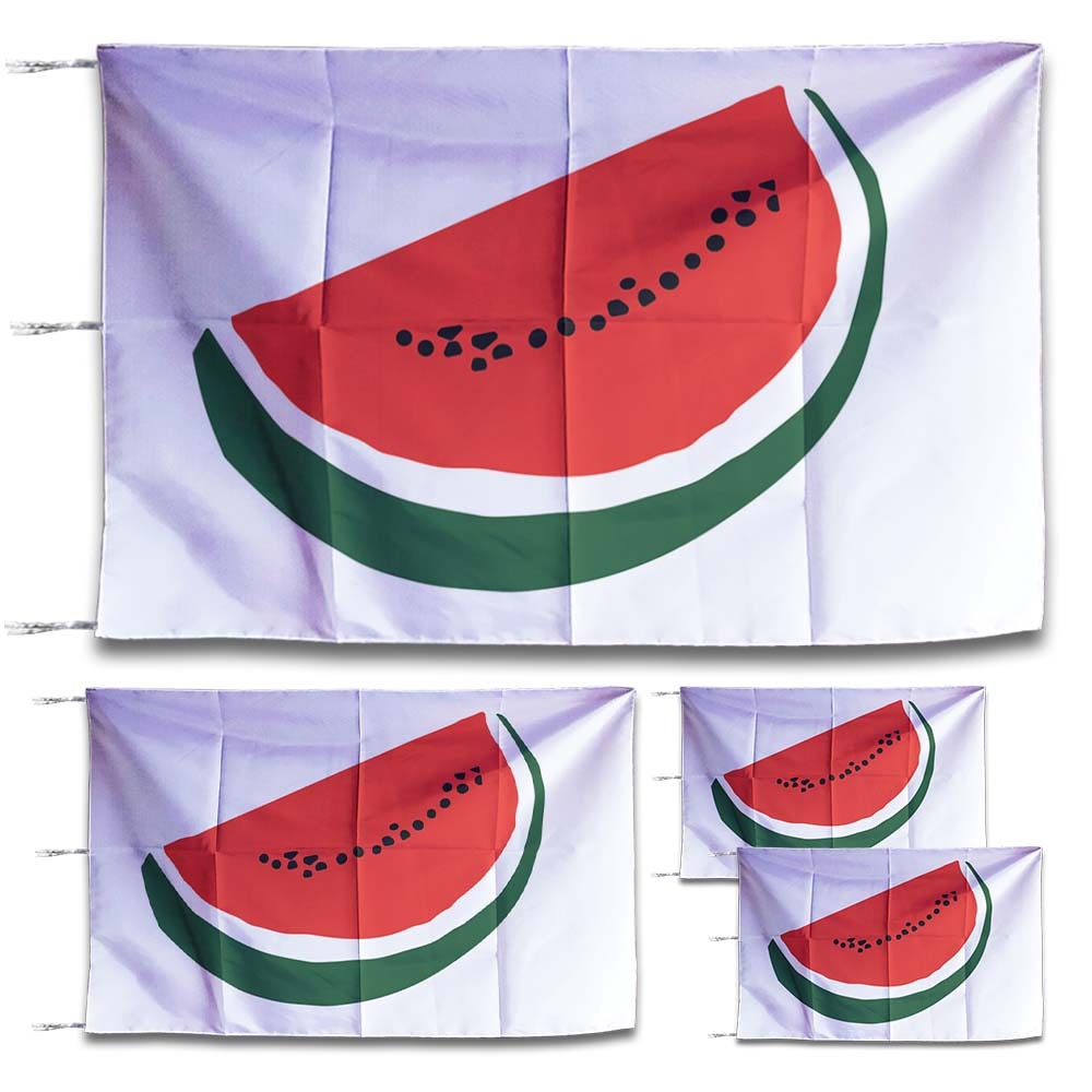 Viral palestine Flag Watermelon palestine Watermelon palestine Support