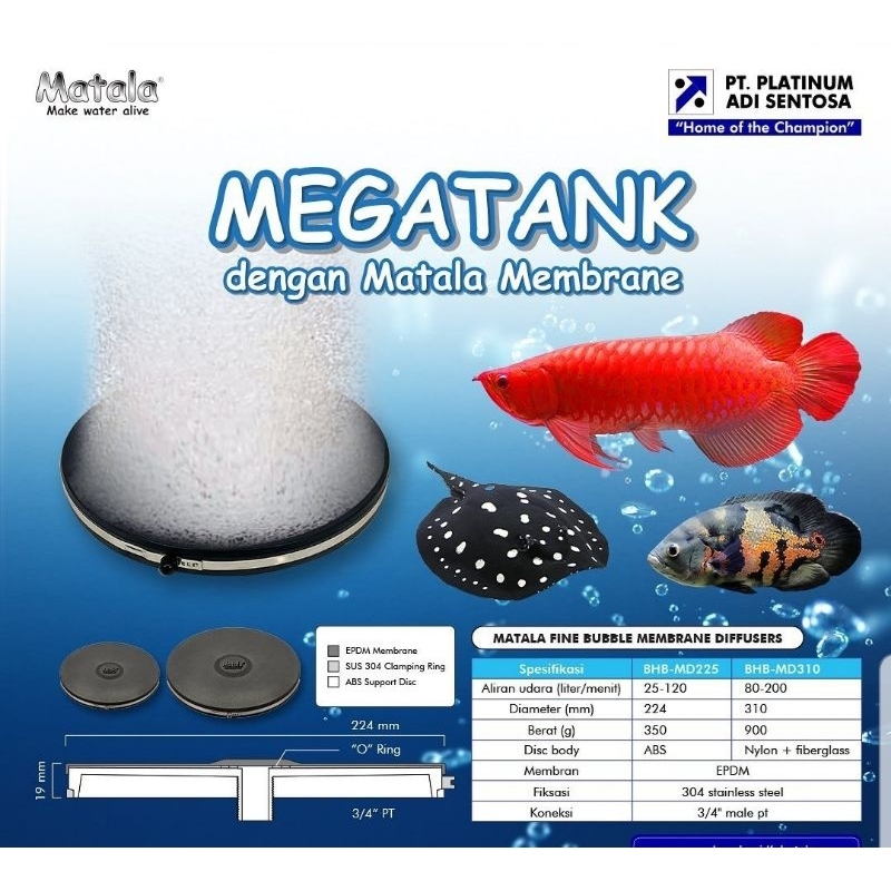 MATALA MEMBRANE 225 cm | Shopee Singapore