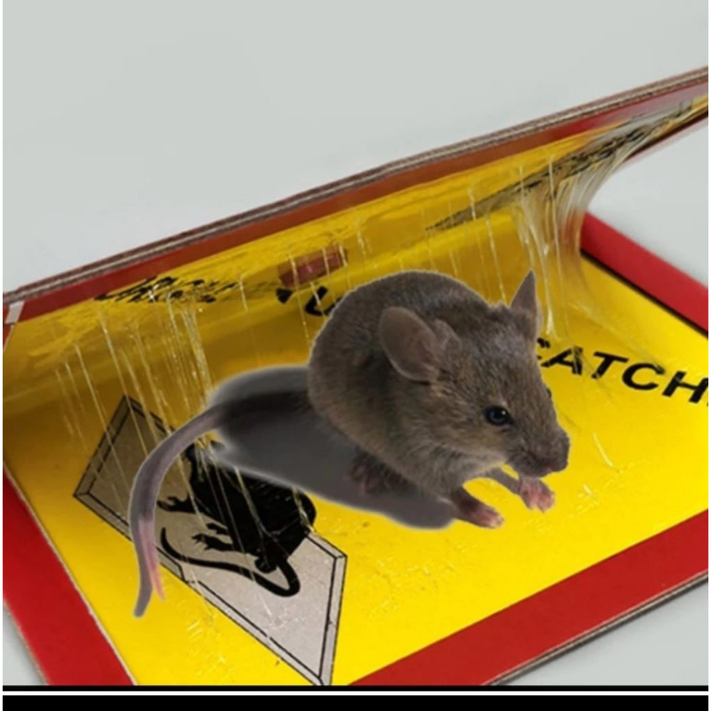 MOUSE GLUE TRAP LEM PAPAN BUKU PERANGKAP JEBAKAN TIKUS - Gambar 4