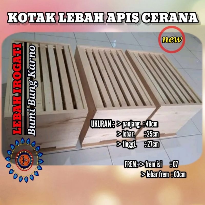 Apis CERANA Bee Cultivation Box | Shopee Singapore