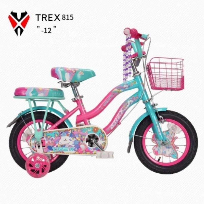 Mini Bike Girls Trex unicorn 12inch Bicycle Basket mini Bike Shopee Singapore