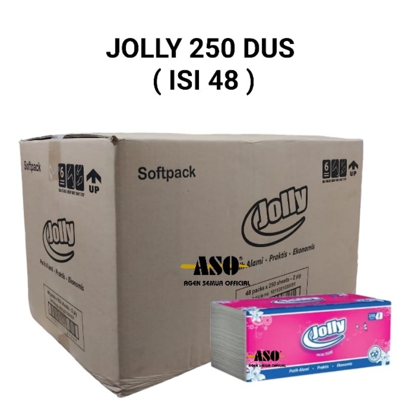 DUS Tisu Tissue Jolly 250 Sheet DUS ( ISI 48 ) - Gambar 2