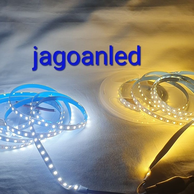 MATA PUTIH Led Strip Lights 2835 120led/meter 12V Meeting Eyes white