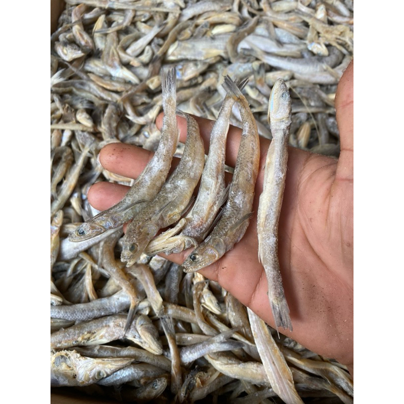 Dried bean salted fish / uceng grade A = 250g/500g/1kg | Shopee Singapore