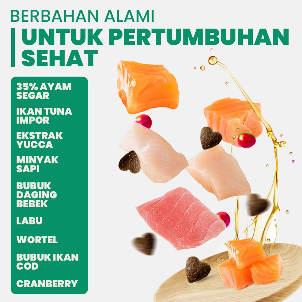 PAWZIO CATFOOD MAKANAN KERING PROBIOTIK 1KG dengan tambahan khusus TAURIN untuk menggembulkan - Gambar 3