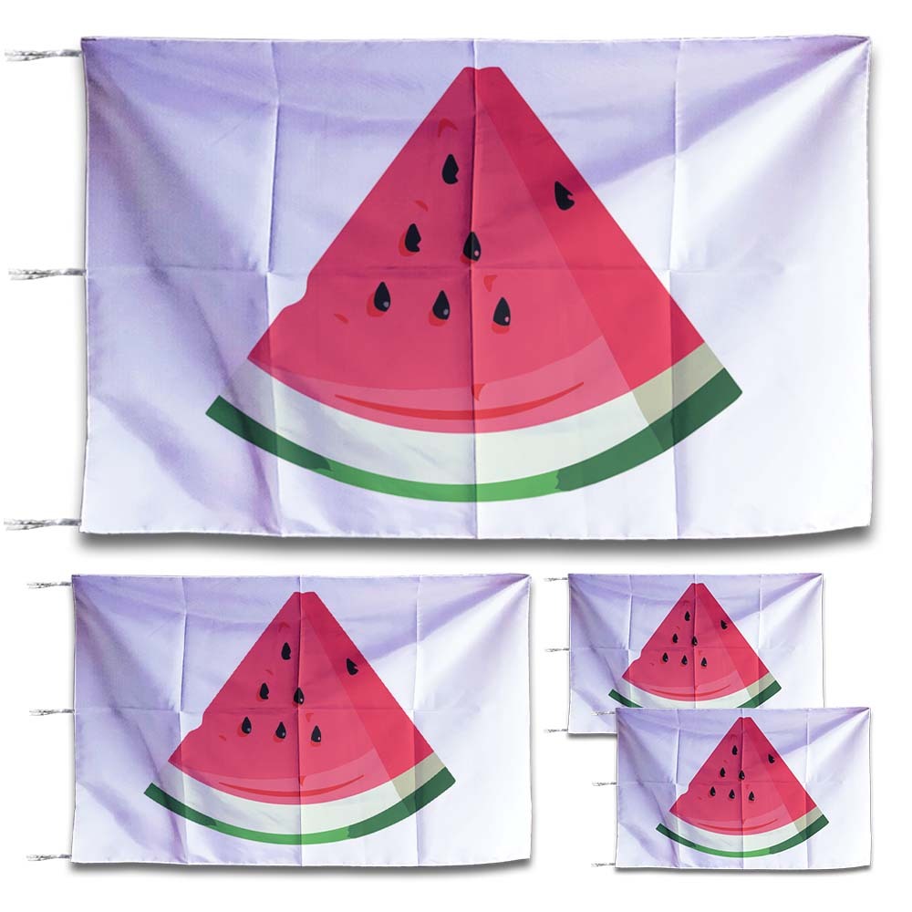 Viral palestine Flag Watermelon palestine Watermelon palestine Support