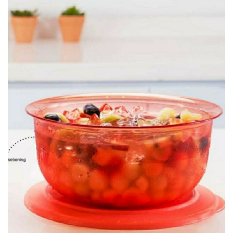 Table Collection 2L (1pcs) | Shopee Singapore