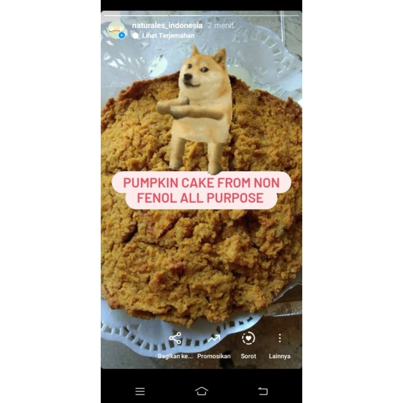 Tepung Cake Non Fenol - Gambar 4