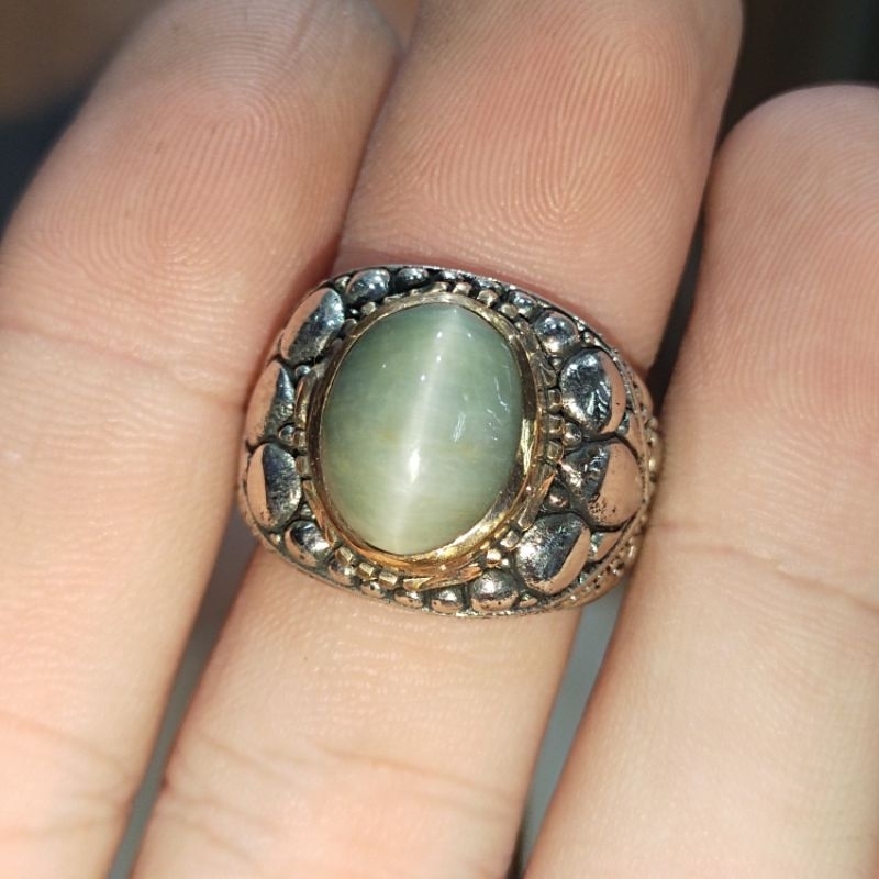 [TOS] Indian Pandan / Pandan Suji Cat Eye | Shopee Singapore