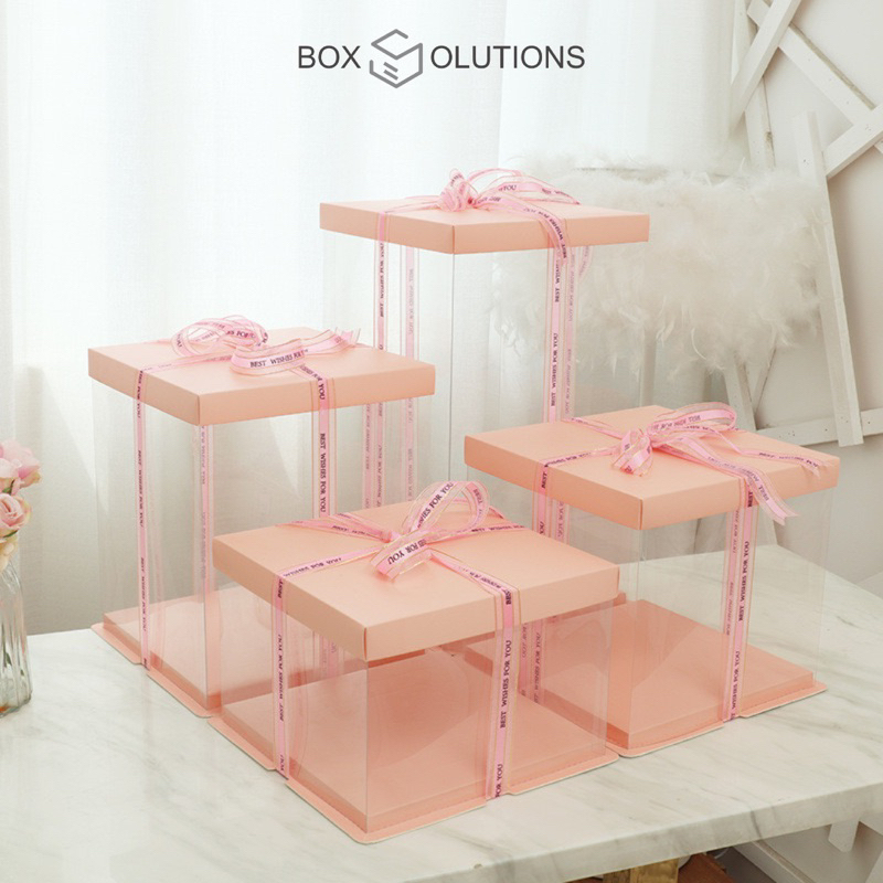 Cake box mika Transparent Height PINK LID/FULL Transparent LID - 21.5 ...