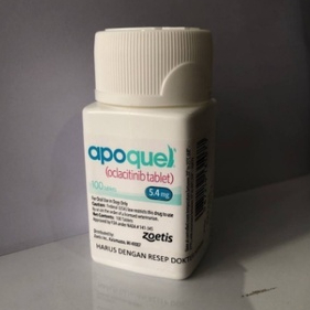 Apoquel 2024 allergy medicine