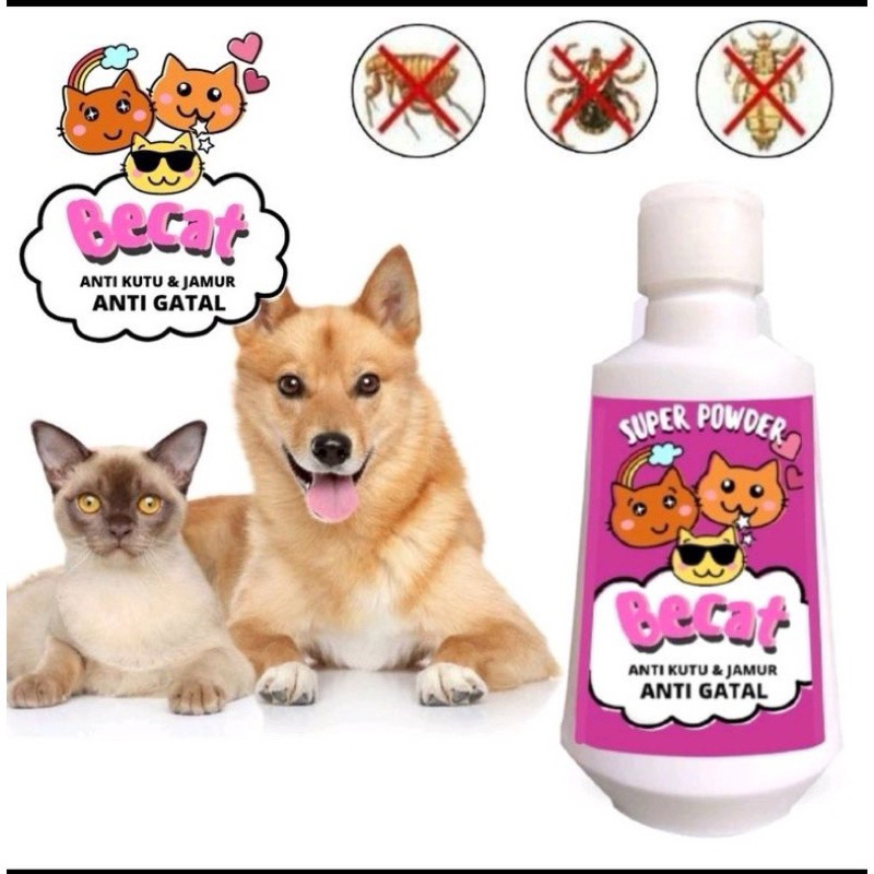 Fresh Look at Anti Fungal Flea And Scabies Cat Grooming Powder