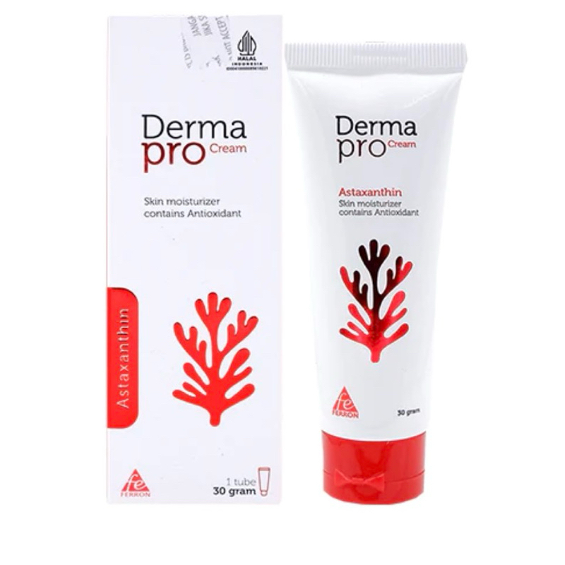 Dermapro cream 30 Grams (antioxidant cream Brightens Skin) | Shopee ...