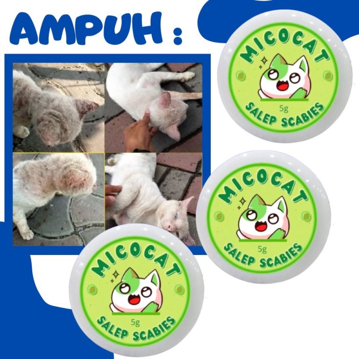 Micocat Scabies Ointment/Mushroom Medicine/Powerful Hamster Cat Dog