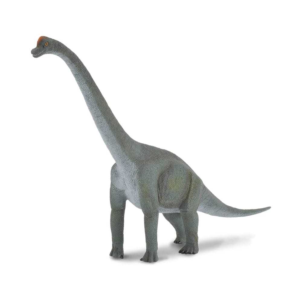 [Import]Jkt - Collecta Miniature Brachiosaurus/collecta figure ...