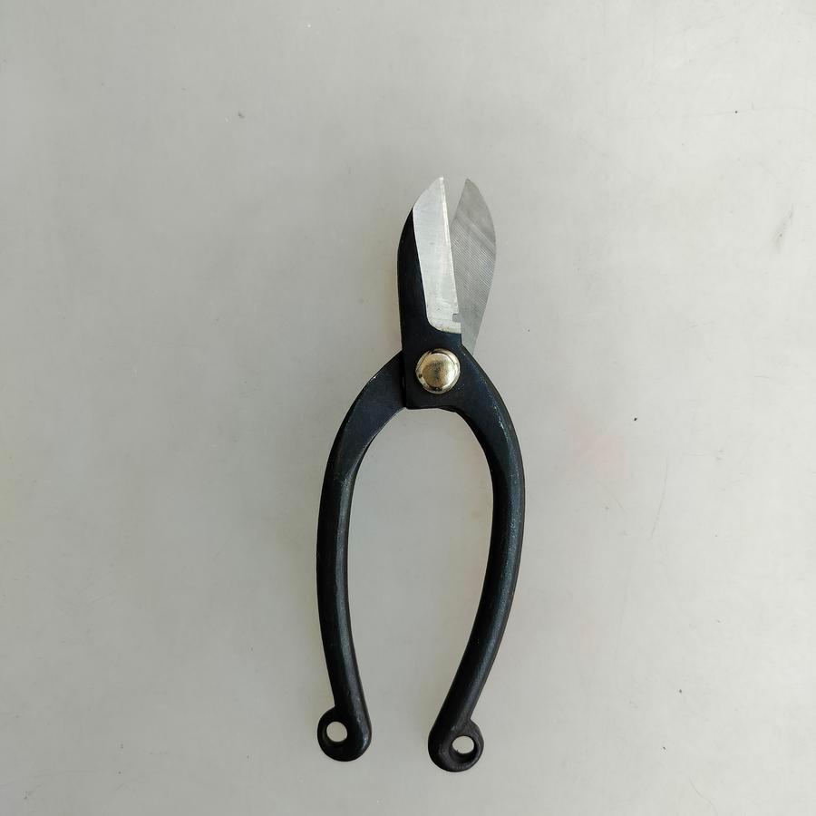 Iron ikebana scissors bonsai flower scissors | Shopee Singapore