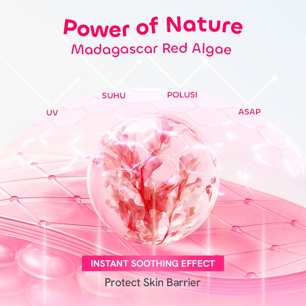 Hanasui Micellar Water Lembut untuk Kulit Sensitif 0% alcohol - Micellar Mencerahkan Vitamin C - Micellar Korean Heartleaf - Gambar 2